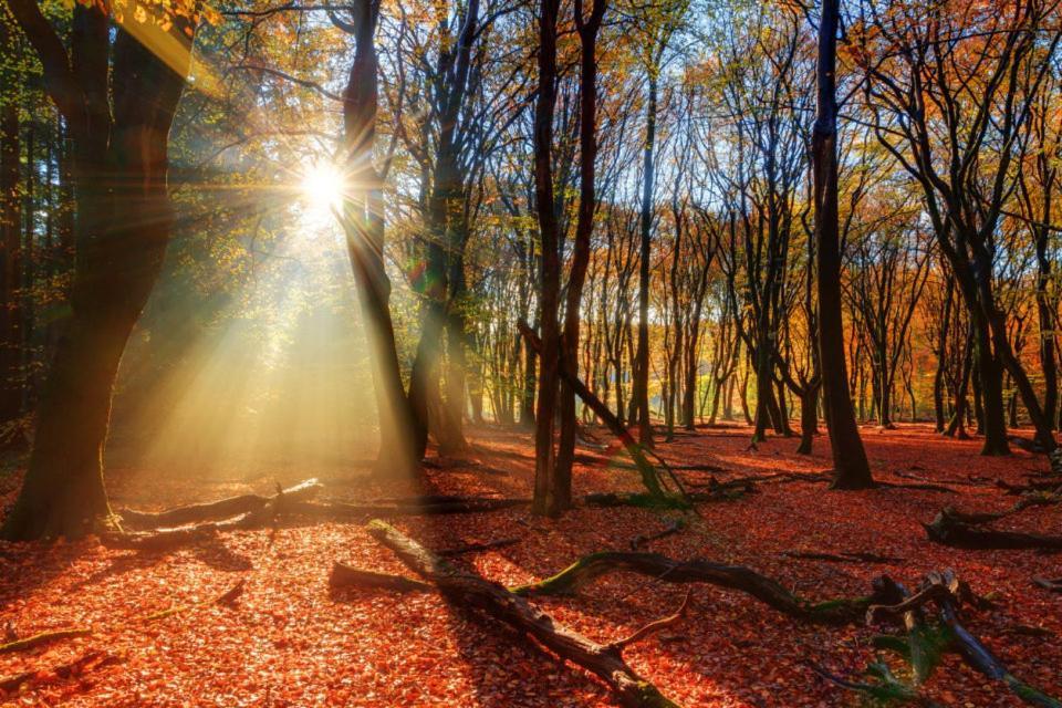 Enjoy Nature, Nice Stay And Beautiful Surroundings Putten Bagian luar foto
